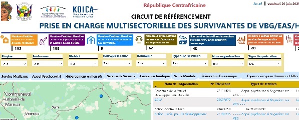 CARTOGRAPHIE VBG
